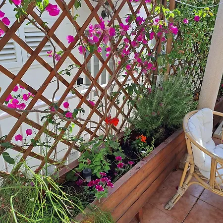 The Lionheart Close To Old Town 아파트