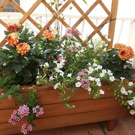 דירה The Lionheart Close To Old Town *