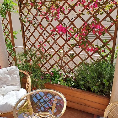 The Lionheart Close To Old Town