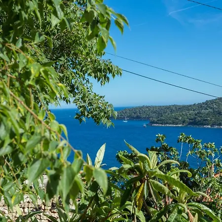 The Lionheart Close To Old Town 아파트 *