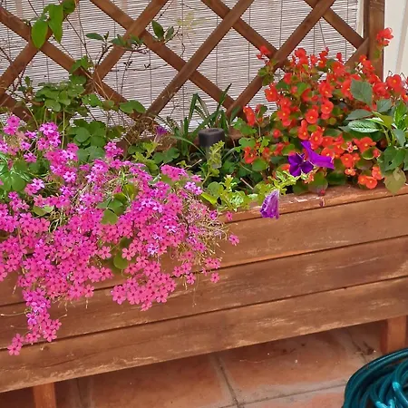 The Lionheart Close To Old Town Lägenhet *