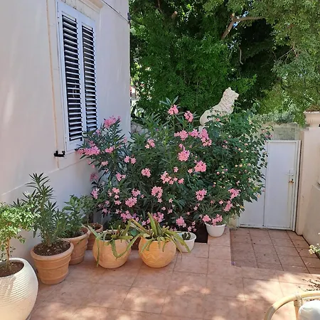 The Lionheart Close To Old Town *