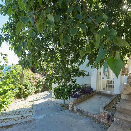 The Lionheart Close To Old Town Lägenhet Dubrovnik